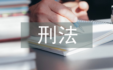 刑法案例論文