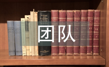保險公司團隊經營理念