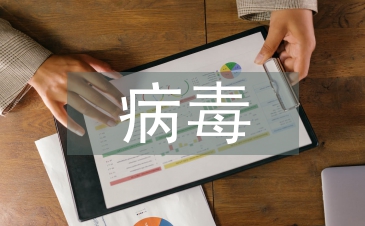 病毒工作報告