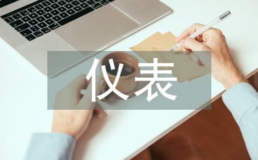 儀表試用期總結