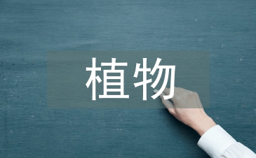 對植物多樣性保護的看法