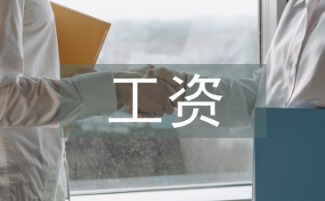 轉正工資總結
