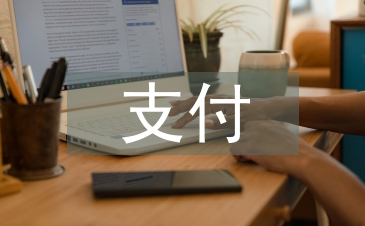 第三方支付的風險分析