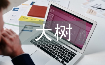 野生香樟大樹的移栽與養(yǎng)護