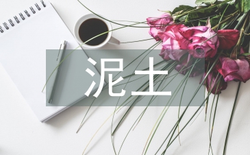 泥土實訓總結