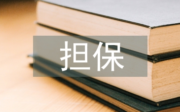 擔(dān)保公司的反擔(dān)保措施