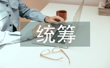 統籌管理論文