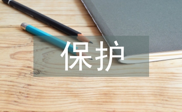 保護傳統文化論文