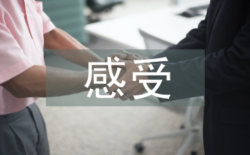 對勞動教育的感受