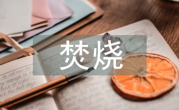 焚燒垃圾的治理