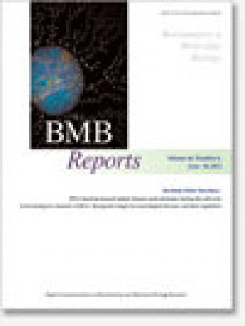 Bmb報告