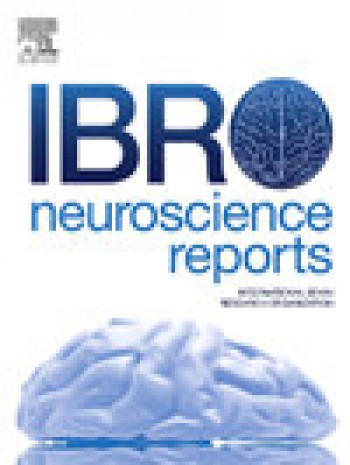 Ibro 神經科學報告