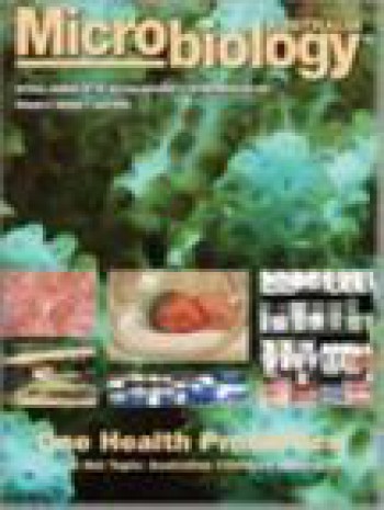 澳大利亞微生物學(xué)協(xié)會(huì)